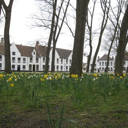 Begijnhof, Bruges Photo #8 by Bernt Rostad from flickr