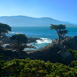 Lone Cypress, Monterey Photo #5 by Charlie Day from flickr