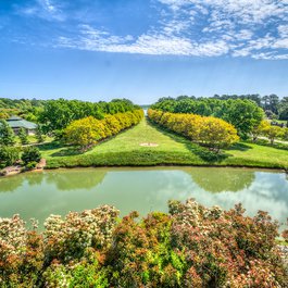 Norfolk Botanical Garden, Norfolk Photo #6 by m01229 from flickr