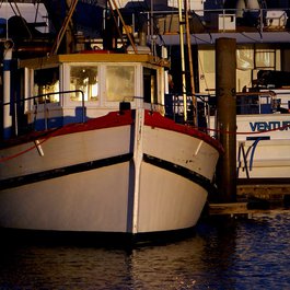 Port Stephens, New South Wales Photo #3 by Bernard Spragg. NZ from flickr