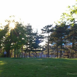 High Park, Toronto Photo #8 by Danielle Griscti from flickr