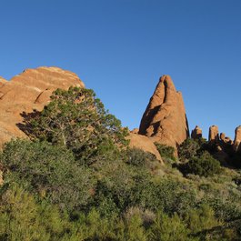 Devil's Garden Trailhead, Arches National Park Photo #7 by Ken Lund from flickr
