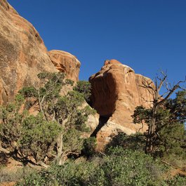 Devil's Garden Trailhead, Arches National Park Photo #9 by Ken Lund from flickr