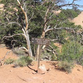 Devil's Garden Trailhead, Arches National Park Photo #6 by Ken Lund from flickr