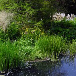 Royal Botanic Garden, Edinburgh Photo #6 by stu smith from flickr