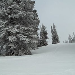 Steamboat Ski Resort, Steamboat Springs Photo #7 by Greg Hamilton from flickr