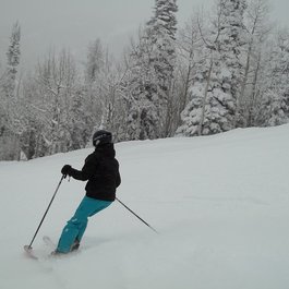Steamboat Ski Resort, Steamboat Springs Photo #1 by Greg Hamilton from flickr