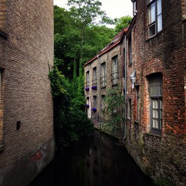 Bruges itinerary, Den Gouden Harynck