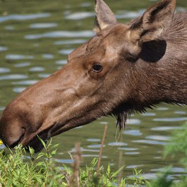 Milwaukee County Zoo, Milwaukee Photo #5 by Jim Bauer from flickr