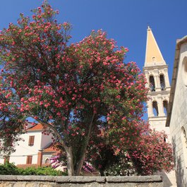 Stari Grad, Hvar Photo #3 by Petr Kadlec from flickr
