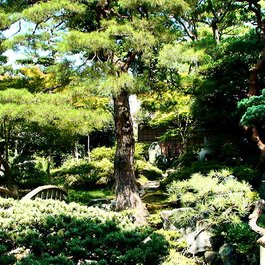 Kyoto Imperial Palace, Kyoto Photo #4 by Joe Lin from flickr