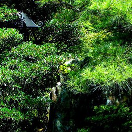 Kyoto Imperial Palace, Kyoto Photo #5 by Joe Lin from flickr