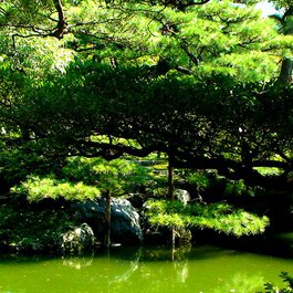 Kyoto Imperial Palace, Kyoto Photo #6 by Joe Lin from flickr