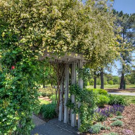 Norfolk Botanical Garden, Norfolk Photo #2 by m01229 from flickr