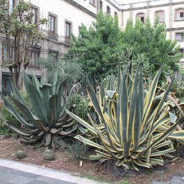 National Palace, Mexico City Photo #9 by Gary Todd from flickr