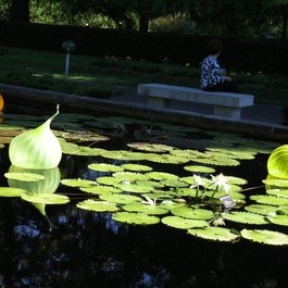 Missouri Botanical Garden, St. Louis Photo #6 by artistmac from flickr
