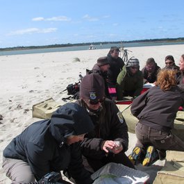 Nauset Beach, Massachusetts Photo #4 by U.S. Fish and Wildlife Service Northeast Region from flickr