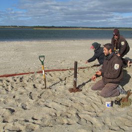 Nauset Beach, Massachusetts Photo #3 by U.S. Fish and Wildlife Service Northeast Region from flickr