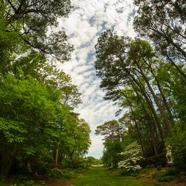 Norfolk Botanical Garden, Norfolk Photo #5 by m01229 from flickr