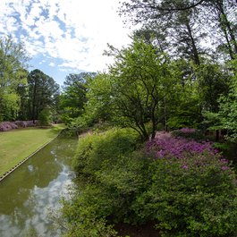 Norfolk Botanical Garden, Norfolk Photo #9 by m01229 from flickr