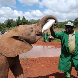 Nairobi, Kenya Photo #8 by maikebieber from pixabay