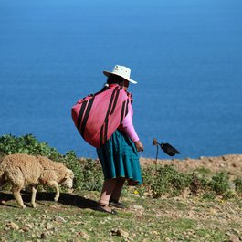 Lake Titicaca, Peru Photo #5 by MonicaVolpin from pixabay