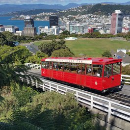 Wellington, New Zealand Photo #6 by trf57 from pixabay