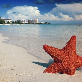 Bahamas, Bahamas Photo #1 by pinasmall from pixabay