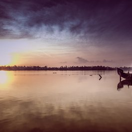 Munnar, Kerala Photo #4 by ponrajk22 from pixabay