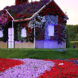 Dubai Miracle Garden, Dubai Photo #5 by wian from pixabay