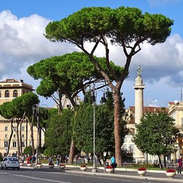 Roman Forum, Rome Photo #6 by neufal54 from pixabay