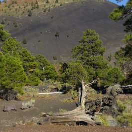 Sunset Crater, Arizona Photo #3 by ArtTower from pixabay