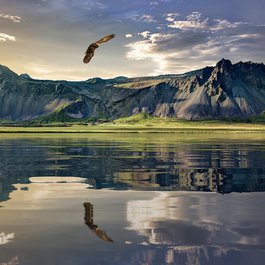New Zealand, New Zealand Photo #1 by Andrew-Art from pixabay
