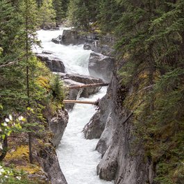 Maligne Canyon, Jasper Photo #4 by dennisflarsen from pixabay