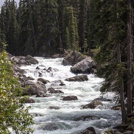 Bow Falls, Banff Photo #1 by dennisflarsen from pixabay