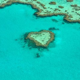 Great Barrier Reef, Australia Photo #1 by alicia3690 from pixabay