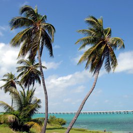 Bahia Honda State Park, Key West Photo #1 by paulbr75 from pixabay