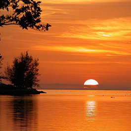 Sunset, Florida Photo #9 by paulbr75 from pixabay