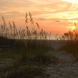 Tybee Island, Georgia Photo #4 by paulbr75 from pixabay