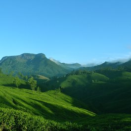 Munnar, Kerala Photo #2 by ginu from pixabay