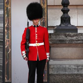 Buckingham Palace, England Photo #8 by PublicDomainPictures from pixabay