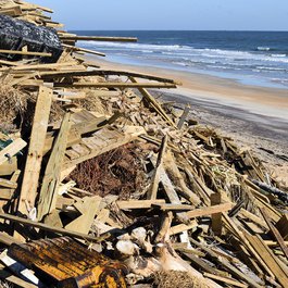 St. Augustine Beach, Florida Photo #2 by paulbr75 from pixabay