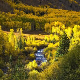 Fall River, Rocky Mountain National Park Photo #5 by theblckwlf from pixabay