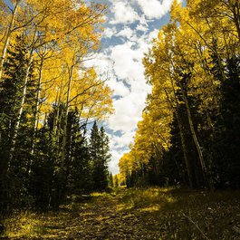 Fall River, Rocky Mountain National Park Photo #8 by theblckwlf from pixabay