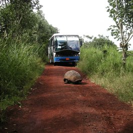Galápagos Islands, Galapagos Islands Photo #9 by PublicDomainPictures from pixabay