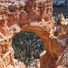 Natural Bridge, Bryce Canyon National Park Photo #2 by mblashoto from pixabay