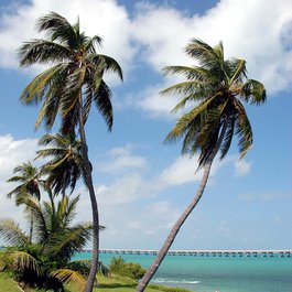 Bahia Honda State Park, Key West Photo #2 by paulbr75 from pixabay