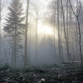 Zürich itinerary, Uetliberg
