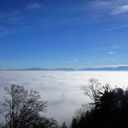 Uetliberg, Zürich Photo #7 by photosforyou from pixabay