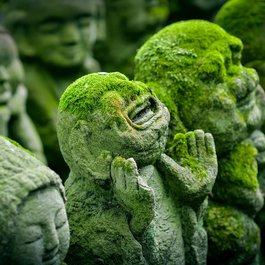 Kyoto, Japan Photo #5 by JordyMeow from pixabay